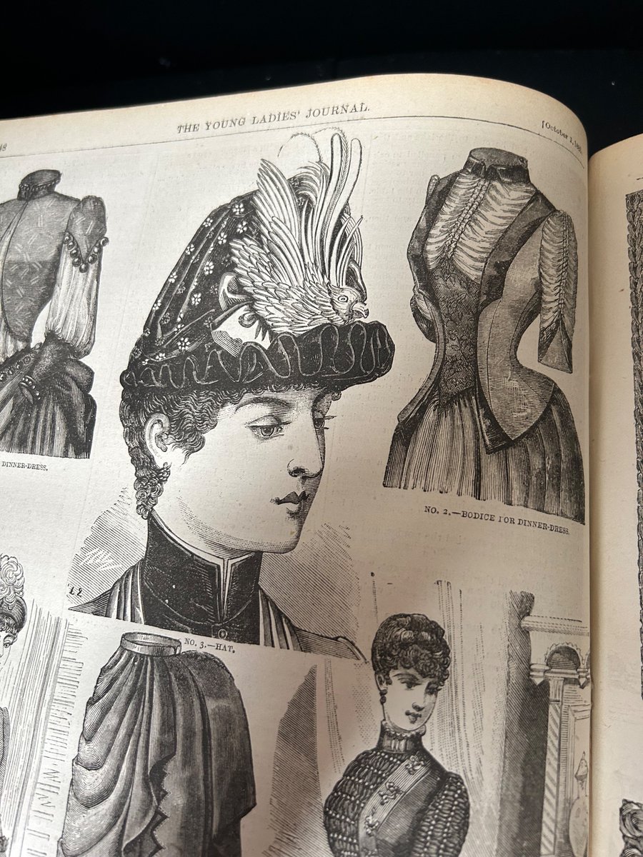 ahehealy's tweet photo. The Young Ladies’ Journal, an illustrated periodical running from 1864-1920, is a goldmine for avian adorned bonnets - some more conspicuous than others. These illustrations are from 1885, predating the emergence of the SPB by four years! https://t.co/nRyq51R1Dc