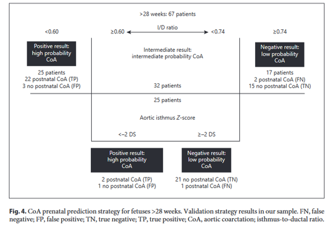 CardioCaribeMx's tweet photo. Diagnóstico prenatal coartación aórtica
Rel Istmo/ductus >0.74 Normal
Rel Istmo/ductus <0.60 Coartación
Entre 0.60-0.74 acorde a edad gestacional
<28 SDG relación VT/VM >1.5 predice CoAo
>28 SDG #valorz del istmo z-2 CoAo
DOI: 10.1159/000520449
#echofetal #3vt #prenatal https://t.co/ASvyFKgHZF