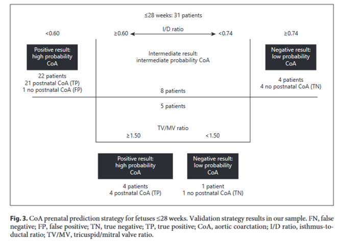 CardioCaribeMx's tweet photo. Diagnóstico prenatal coartación aórtica
Rel Istmo/ductus >0.74 Normal
Rel Istmo/ductus <0.60 Coartación
Entre 0.60-0.74 acorde a edad gestacional
<28 SDG relación VT/VM >1.5 predice CoAo
>28 SDG #valorz del istmo z-2 CoAo
DOI: 10.1159/000520449
#echofetal #3vt #prenatal https://t.co/ASvyFKgHZF