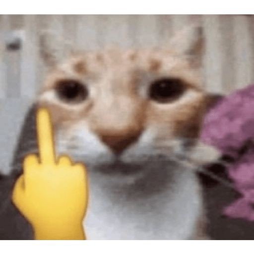 Me cae como la cola el amiguito de oomf