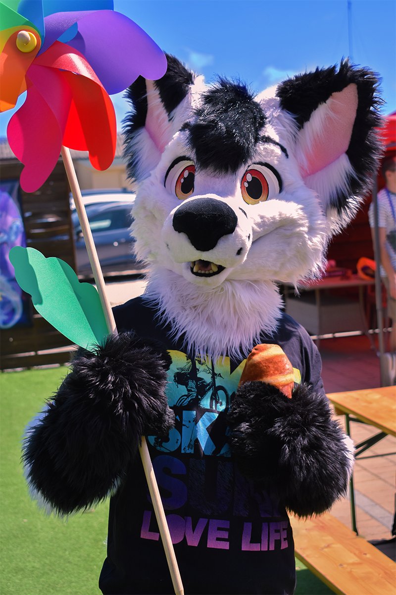 FurdanceBP's tweet photo. "I'm walking on sunshine" – 📷 Edgar
#FursuitFriday #SummerFurs #FurdanceBudapest https://t.co/yGOIN1wnT0
