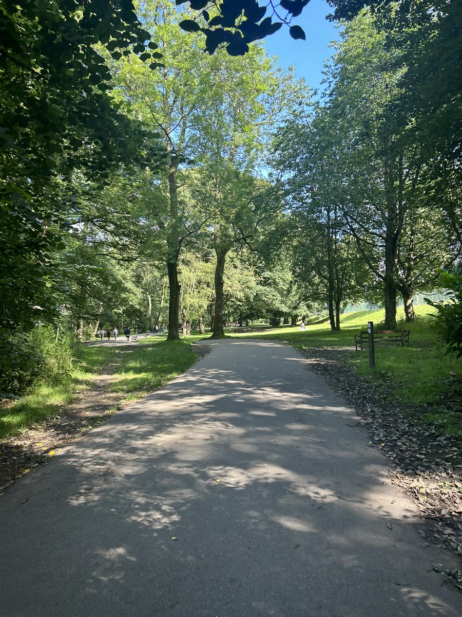 WadsworthMark's tweet photo. @LanesTree Endcliffe Park #Sheffield https://t.co/QwHQrKrWgU