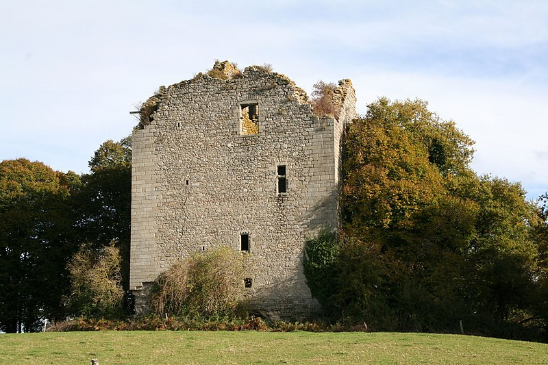 MonumentumFr's tweet photo. Restes du donjon à #Chamborand (#Creuse) Beau specimen de l'architecture militaire du XIVe siècle. Etabli sur plan rectangulaire, l'intérieur est divisé en deux parties inégales, desservies par un escalier comm...
Suite 👉 https://t.co/LwmbLbD2ao
#Patrimoine #MonumentHistorique https://t.co/6UPztFHCpJ