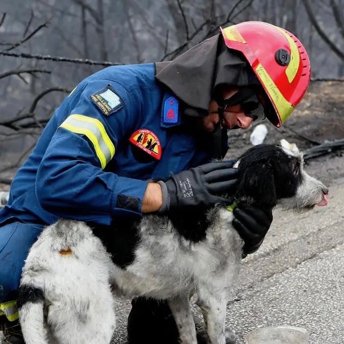 THI_OneGreece's tweet photo. Show your support for Greece during this critical period! Join #THI in supporting the courageous firefighters, first responders and our vetted non-profit organizations working to save Greece! Donate here: https://t.co/Qb5OtwVKef https://t.co/09MUGAWzsn