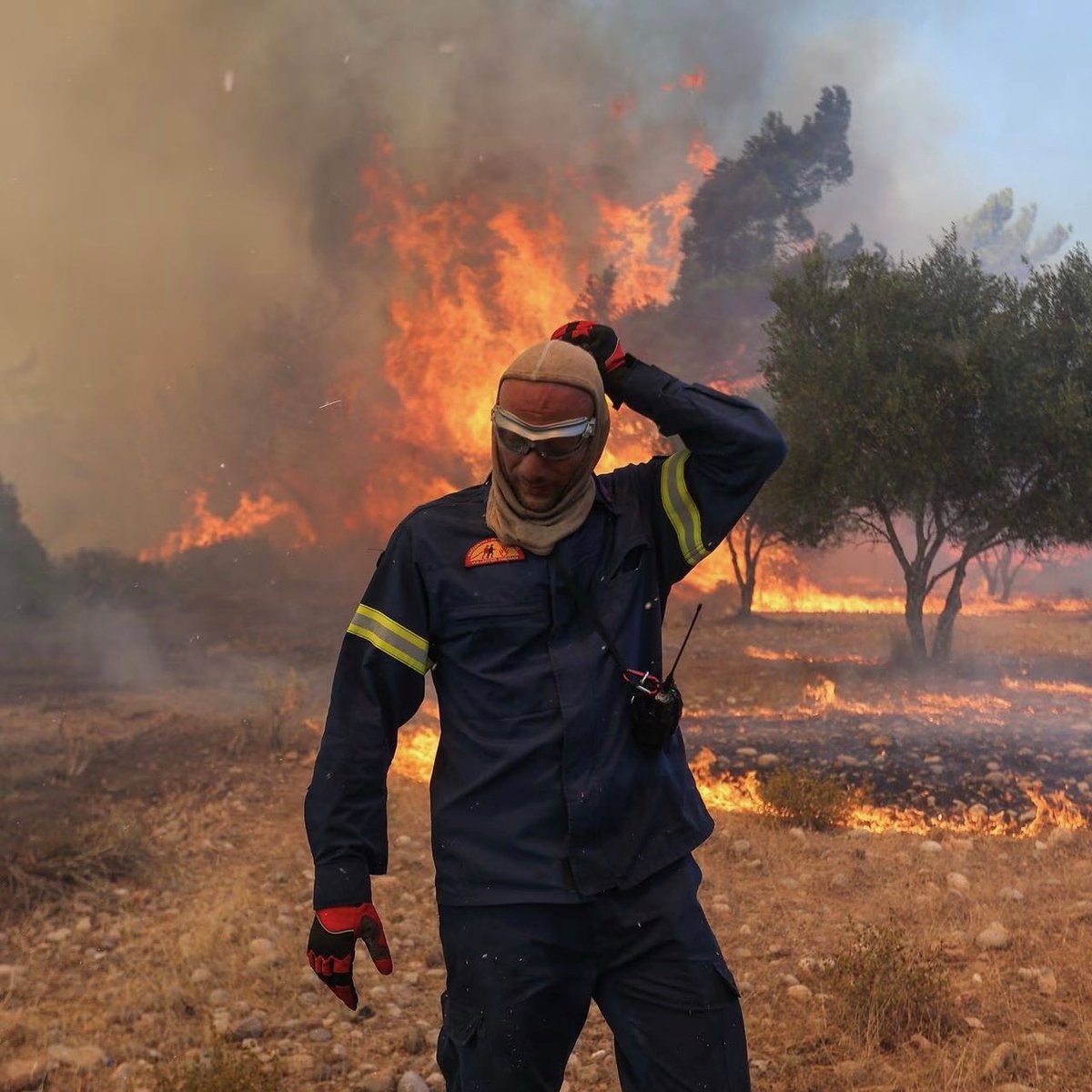 THI_OneGreece's tweet photo. Show your support for Greece during this critical period! Join #THI in supporting the courageous firefighters, first responders and our vetted non-profit organizations working to save Greece! Donate here: https://t.co/Qb5OtwVKef https://t.co/09MUGAWzsn