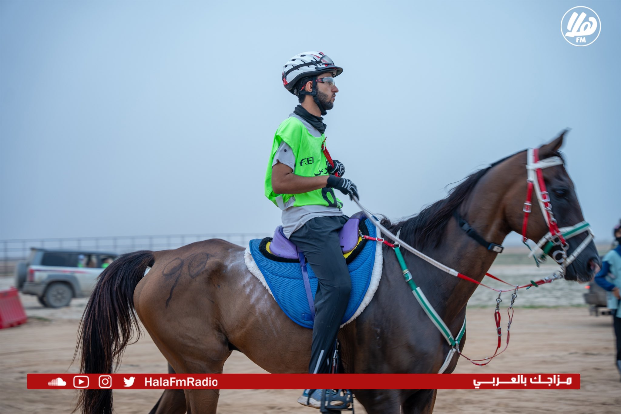 الصورة