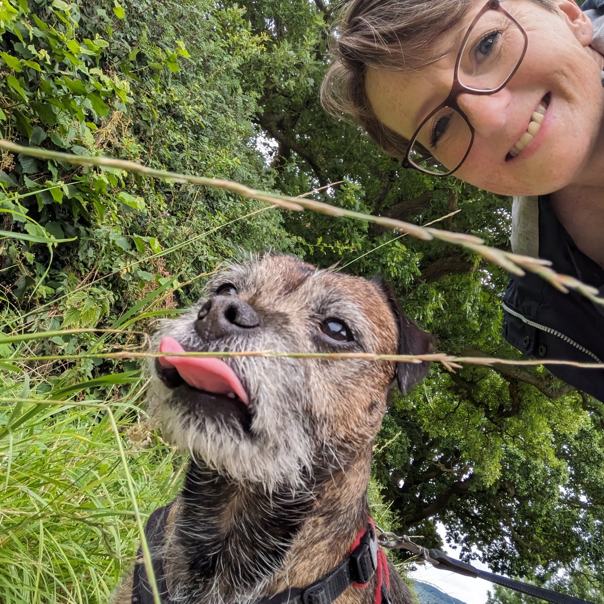 Feelwells Official Dodger & Hudson tweet media