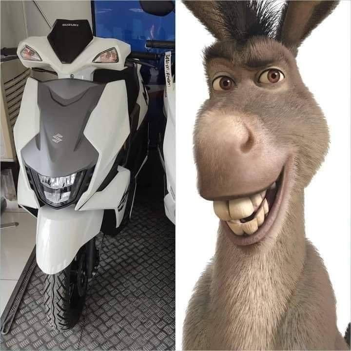 Burro do Shrek meme em 2023