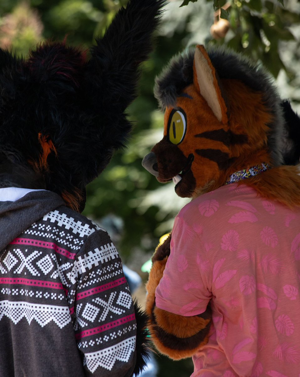 FurdanceBP's tweet photo. "Do you know this one!? Why did the bicycle fall over? Because it was too tired."  – 📷 Ignited Cheese
#FursuitFriday #SummerFurs #FurdanceBudapest https://t.co/s8Ieer4rYz
