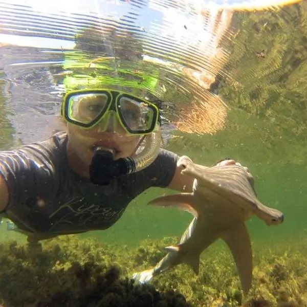 SharksEveryDayy's tweet photo. https://t.co/R7iHZPWzwC