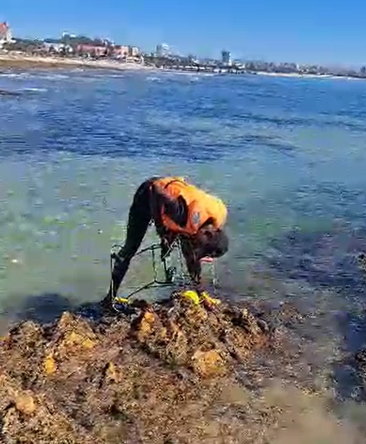Saeonews's tweet photo. Congratulations to SAEON Kid Alutha Botha  Nombulelo Secondary - winning a gold medal at Eskom Expo for Young Scientist Regional Fair in the environmental category - " Exploring habitat use by juvenile fishes using remote underwater videos" Thank you  SAEON &amp; @NRF_SAIAB  mentors. https://t.co/SfJ3Dq9rua