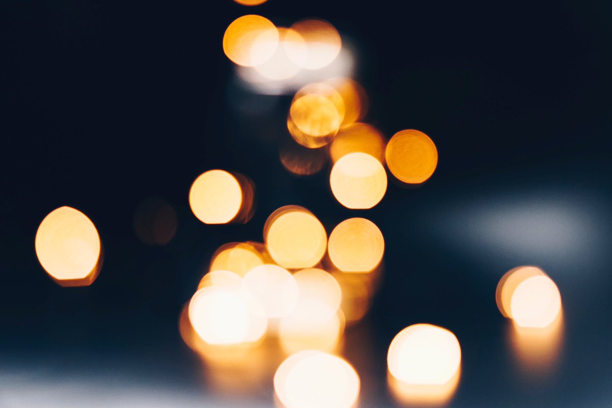 Gordana Biernat tweet media