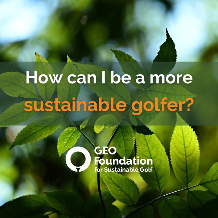 sustainablegolf's tweet photo. What can golfers do to be more sustainable around the course?

Take a look at these 18 tips for the sustainable golfer. How many can you tick off? ⛳
https://t.co/iXWb80AYAz

#ForSustainableGolf https://t.co/QD3WGXVjry