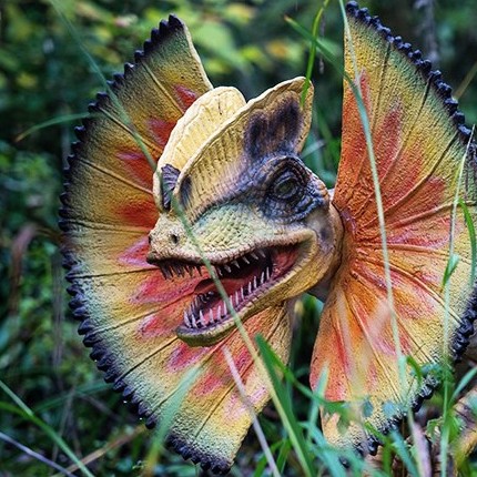 Still undecided what to do tomorrow? We’re open daily from 10am. Book your tickets online now. bit.ly/2s8qzYF 
#DaysOut #FamilyFun