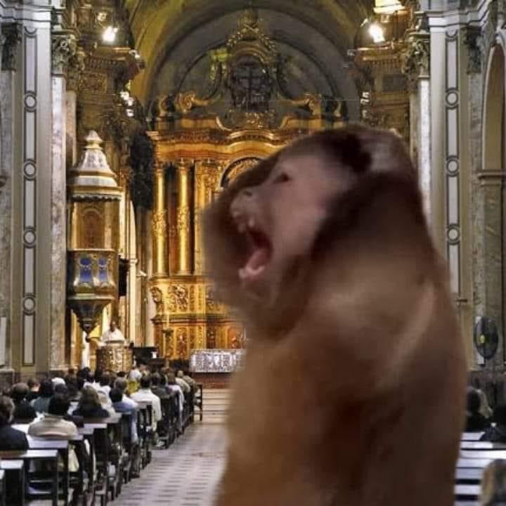 diegoilomilo's tweet photo. yo a los 8 años en la iglesia sin saber como pedirle perdón a diosito por haber pensado “te quiero diablo” https://t.co/QQ5qlMiA2p