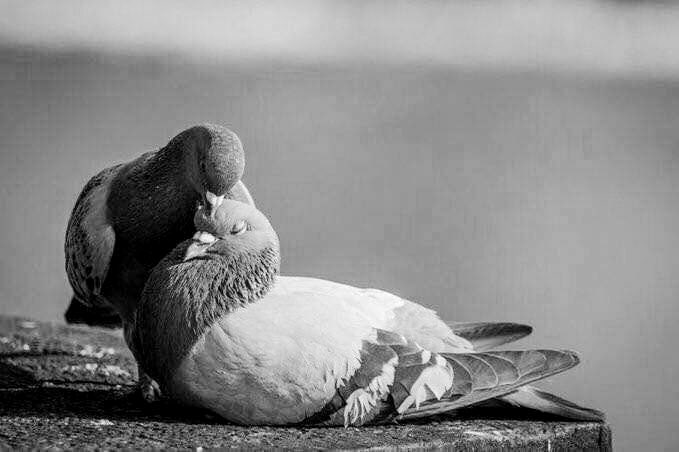 gadah1235's tweet photo. قال سفيان الثوري رحمه الله:
ما رأيت عبادةً أجلّ وأعظم من  #جبر_الخواطر https://t.co/iQ42ojUQV9