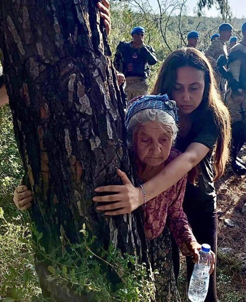 ChpIlkadin's tweet photo. Yaşamak bir ağaç gibi tek ve hür ve bir orman gibi kardeşçesine, bu hasret bizim... Nâzım HİKMET.
#AkbeleneDokunma https://t.co/7NLBWMalSb