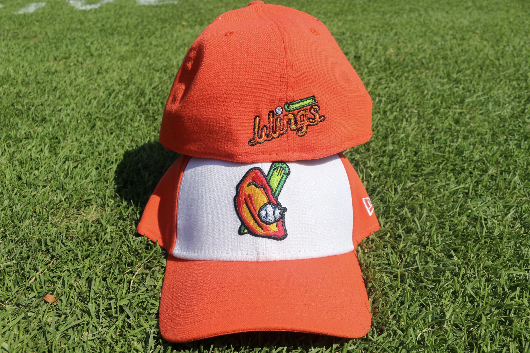 Buffalo Bisons on X: "2:30 GAME UPDATE: First Pitch is still scheduled for  6:05pm. We will provide updates on our socials if anything changes. Wings  are in the frier and will be