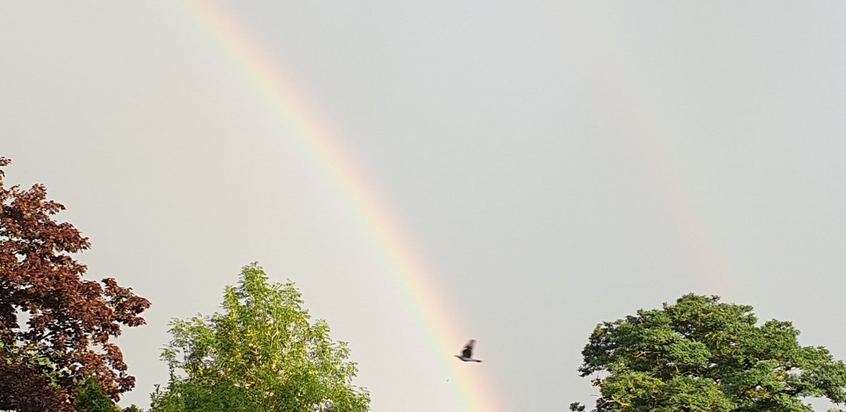 meedijk's tweet photo. Avontuur en natuur nabij. #weer #regenboog #mooizomerweer @weermanreinier https://t.co/JwCuBAuQIT
