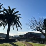 Photo by Rogerson Racing (@RogersonStables)
