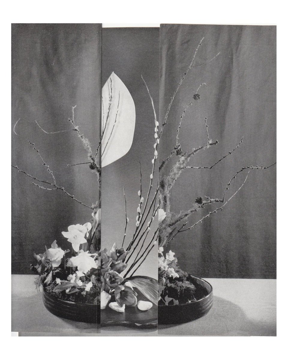 Mia Forrest 💎 tweet media