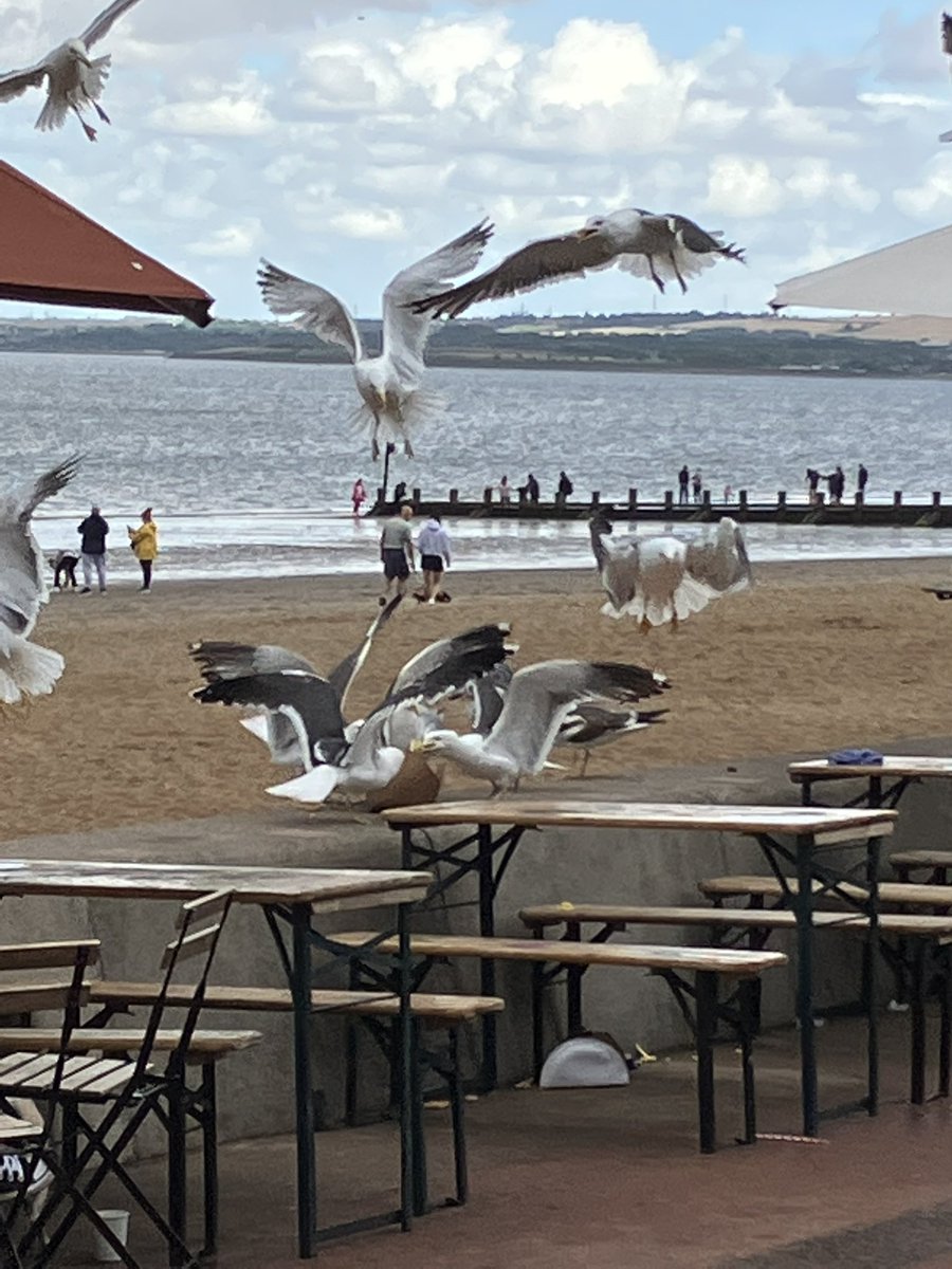 PoppyCocktails's tweet image. Swam at #Portobello today, got out of the beautifully clear water after 3 minutes as it stank of sewage. Turns out there was a pollution warning, the 23rd of 2023 (compared to 0 in 2022) meh at least we had lunch and a rainbow as well as potential cholera