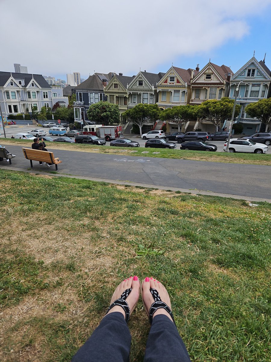 Beth Shaferman tweet media