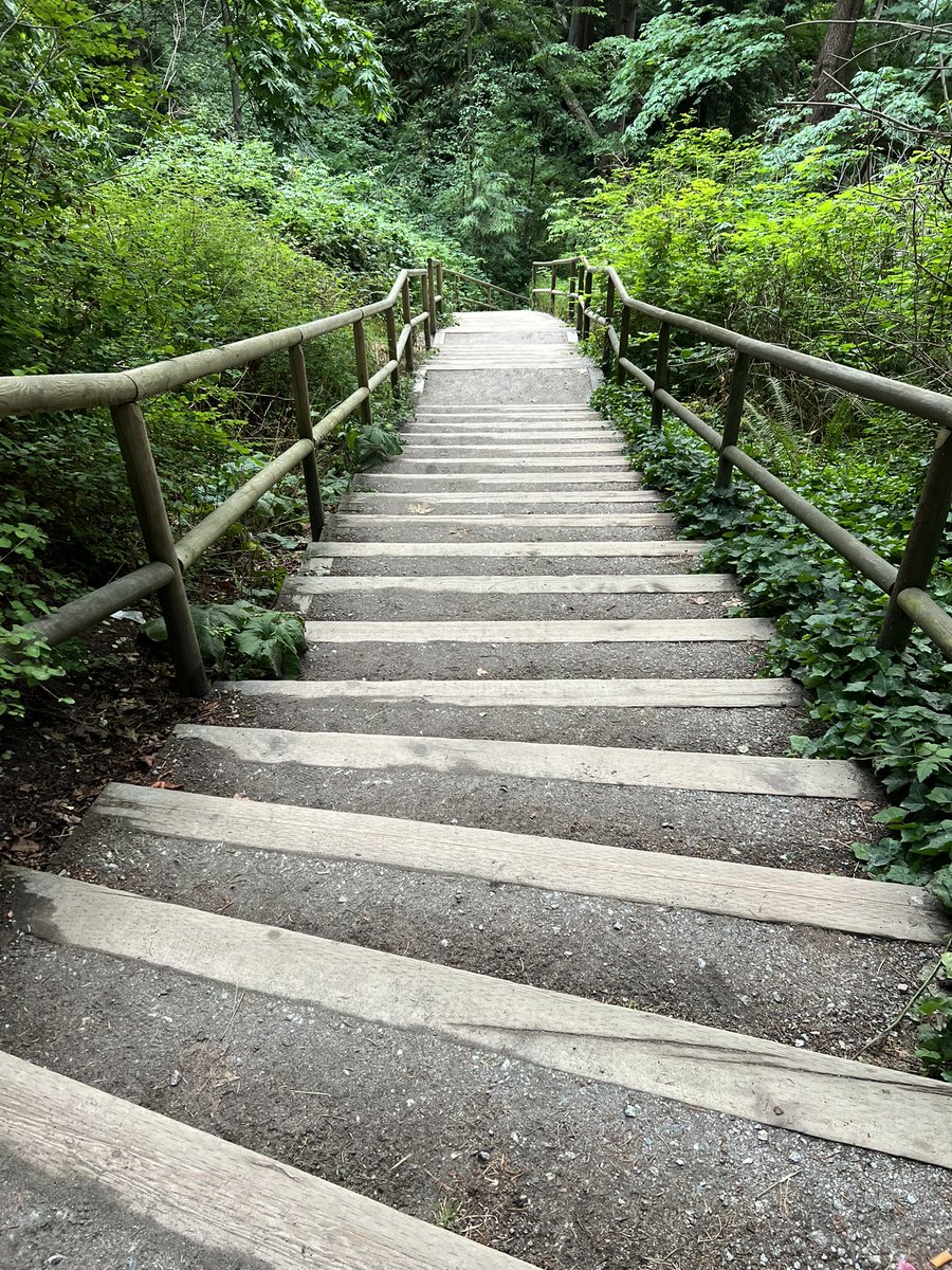 Sami Olive (elle/iel) tweet media