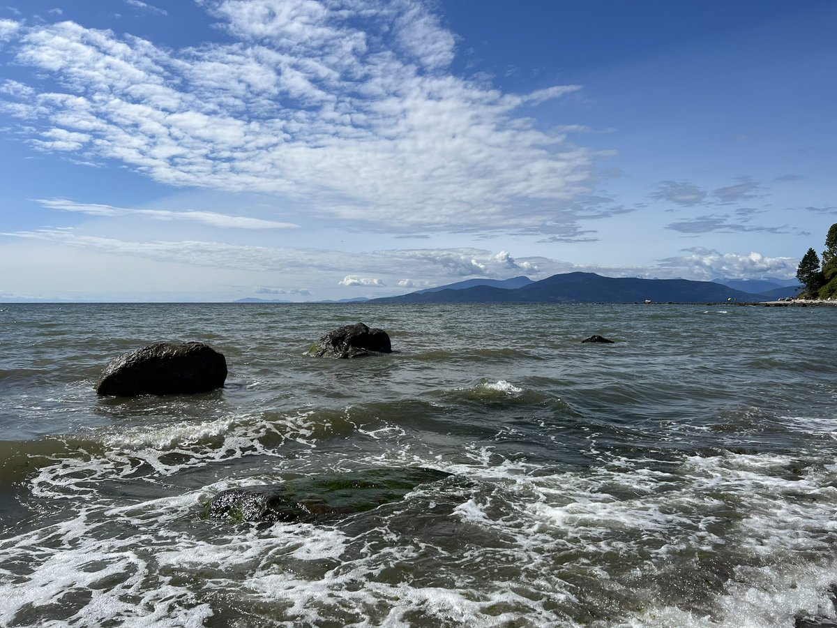 Sami Olive (elle/iel) tweet media