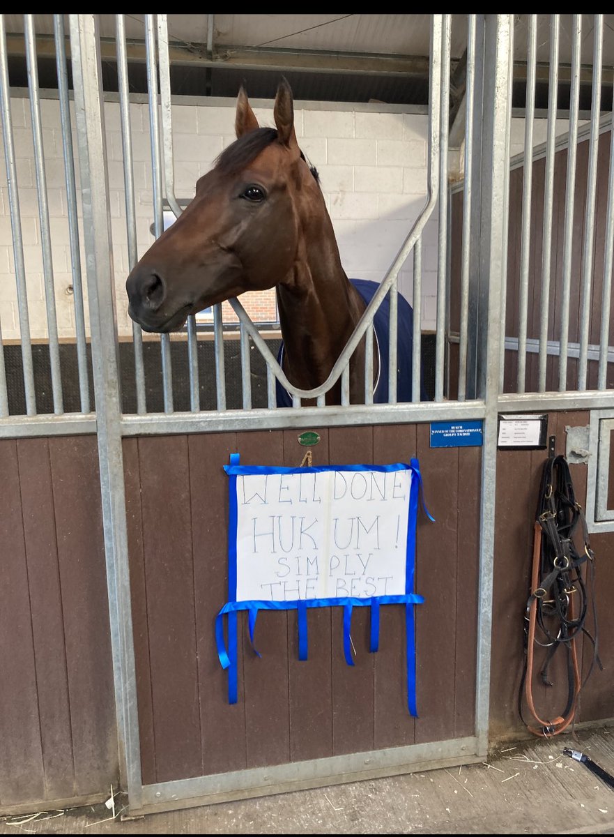 Rob McDowall (@mcdowallr) on Twitter photo I wanted to tweet something nice about Hukum but realised words wouldn’t do it justice. But I think this photo says it all really!
Great performance from Alflaila at York too. Well done to the whole team.
<a href="/ojburrows74/">Owen Burrows</a> <a href="/hissa_hamdan/">حصه</a> <a href="/JimCrowley1978/">Jim Crowley</a> I wanted to tweet something nice about Hukum but realised words wouldn’t do it justice. But I think this photo says it all really!
Great performance from Alflaila at York too. Well done to the whole team.
<a href="/ojburrows74/">Owen Burrows</a> <a href="/hissa_hamdan/">حصه</a> <a href="/JimCrowley1978/">Jim Crowley</a>