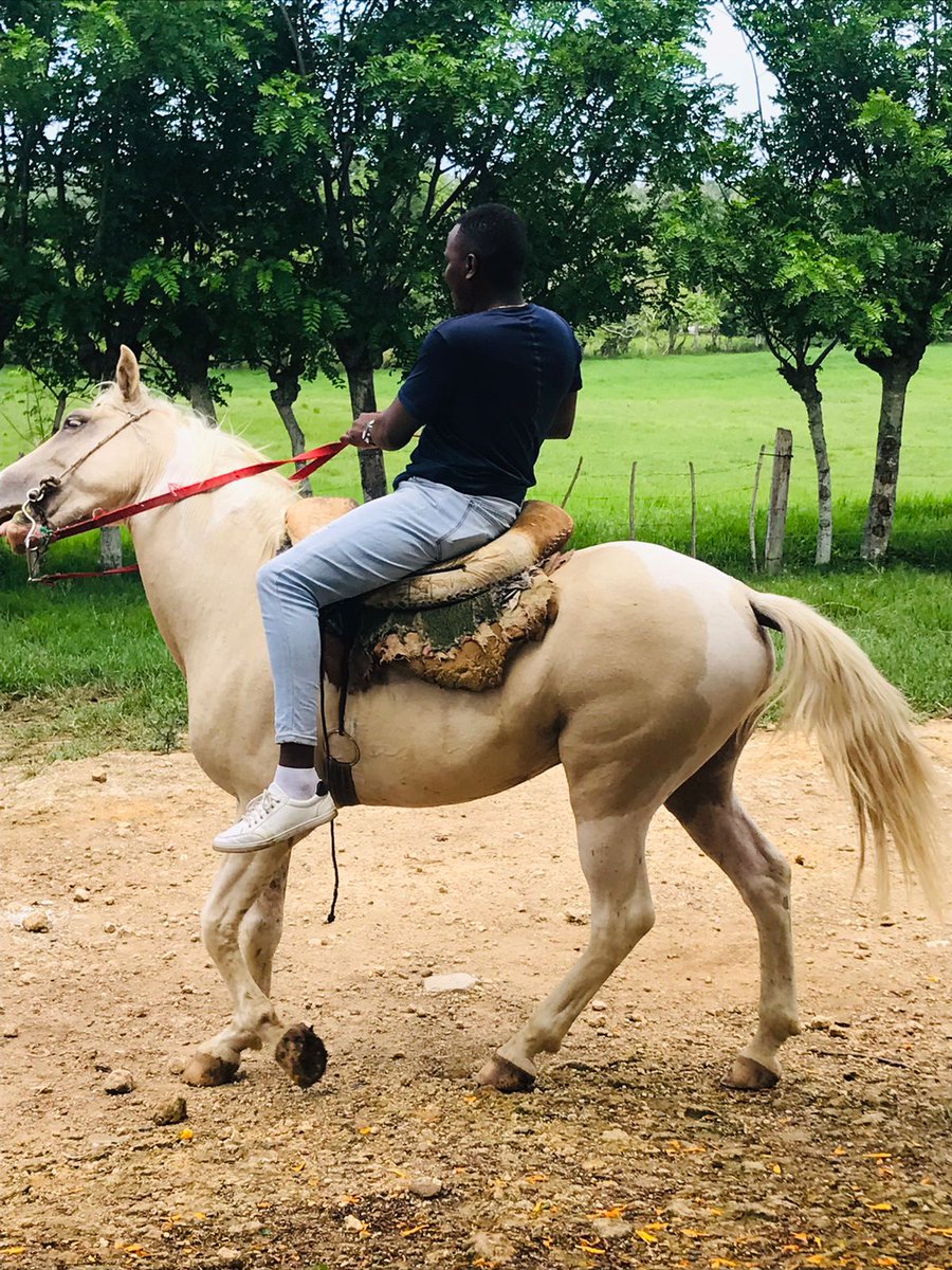EstebanCharles_'s tweet photo. De mi caballo aprendí que la fuerza se complementa con la nobleza y la lealtad. - 

Gabriel Oliverio

#vacaciones2023 https://t.co/q4v75Dg8Qm