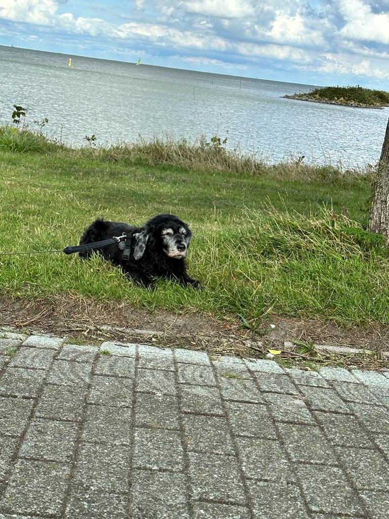 Angela B. tweet media