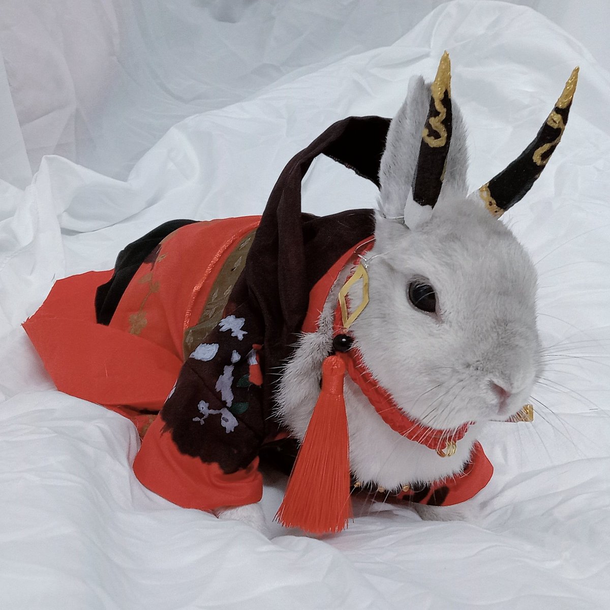蘭萌皇🐰バイラン皇帝 tweet media