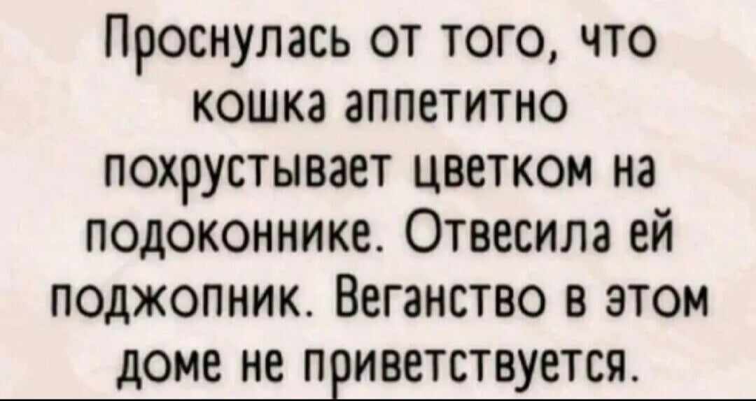 <a href="/AlinaNevata/">🟠Alisha Nevata</a>