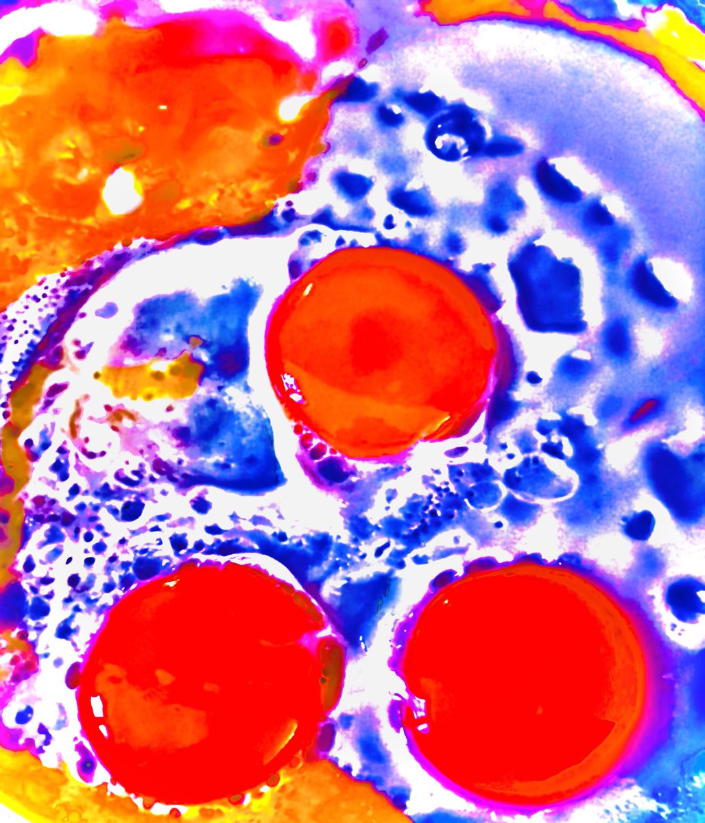 Alonein43672278's tweet photo. #photography #compostion #eggs https://t.co/CAOugtwln4