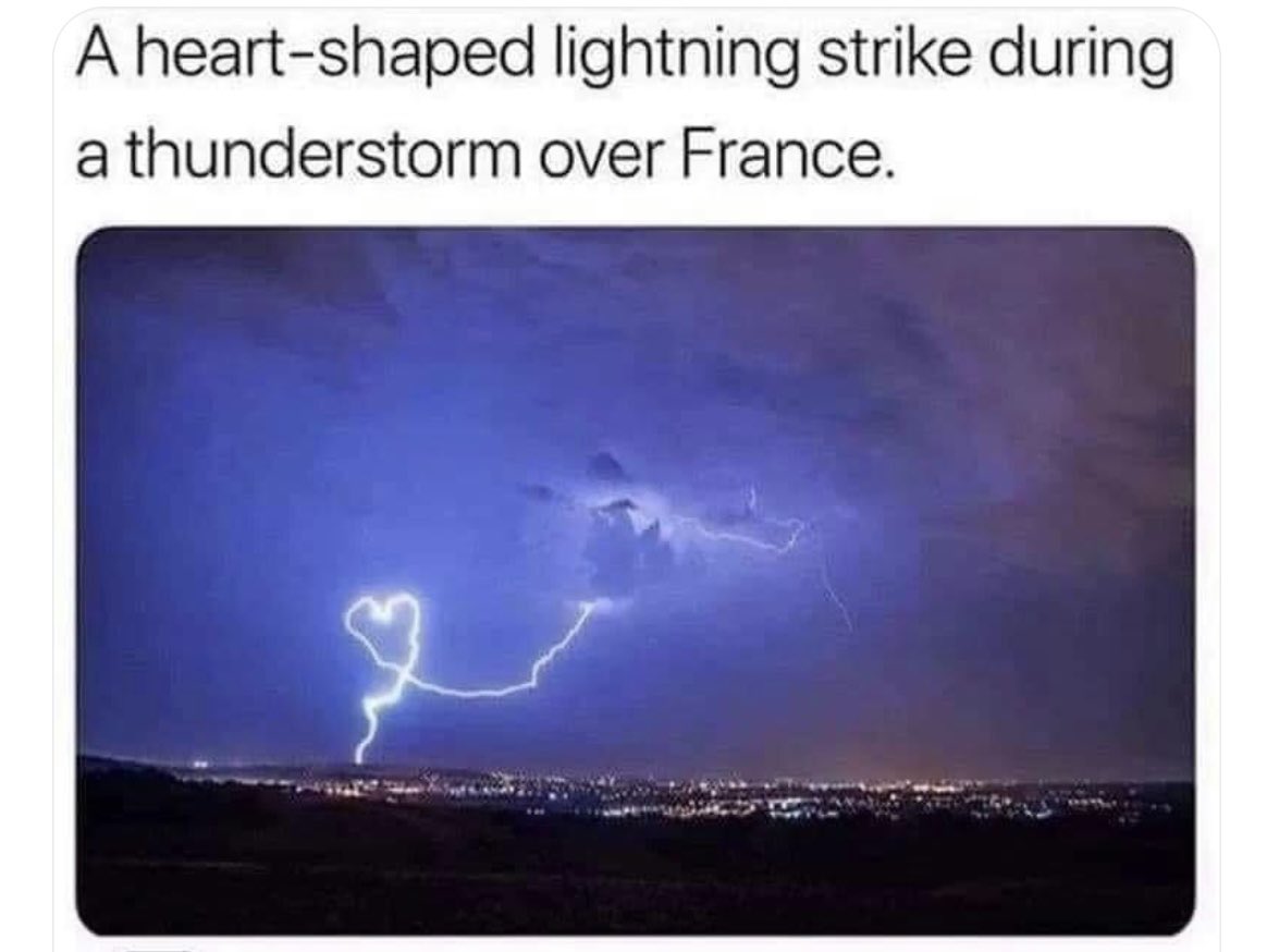 Hi I am Thor and you are watching the Disney  channel ! #Memes #funnymemes  #funny  #viral  #forreal  #silly  #DisneyChannel #foryou