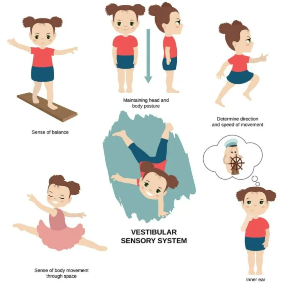 PathwaysOrg's tweet image. Do you know the difference between the vestibular and proprioception sense? Via empoweredparents.co  More info here: ow.ly/7RaG50PiSKF/ #sensoryskills #sensoryintegration #occupationaltherapy