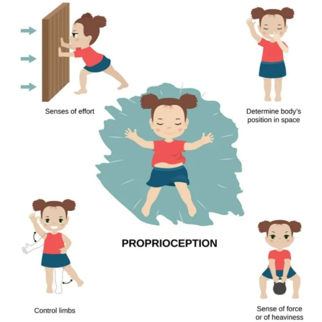 PathwaysOrg's tweet image. Do you know the difference between the vestibular and proprioception sense? Via empoweredparents.co  More info here: ow.ly/7RaG50PiSKF/ #sensoryskills #sensoryintegration #occupationaltherapy