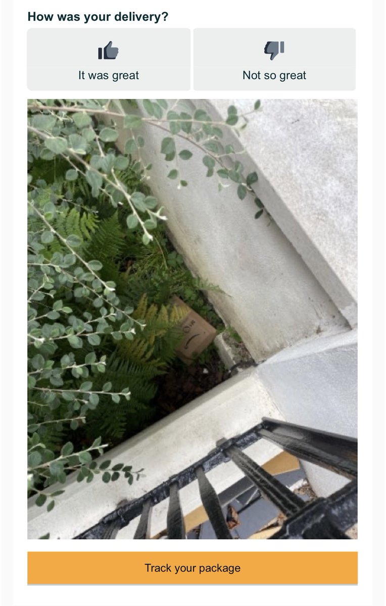 Liz Slade tweet media