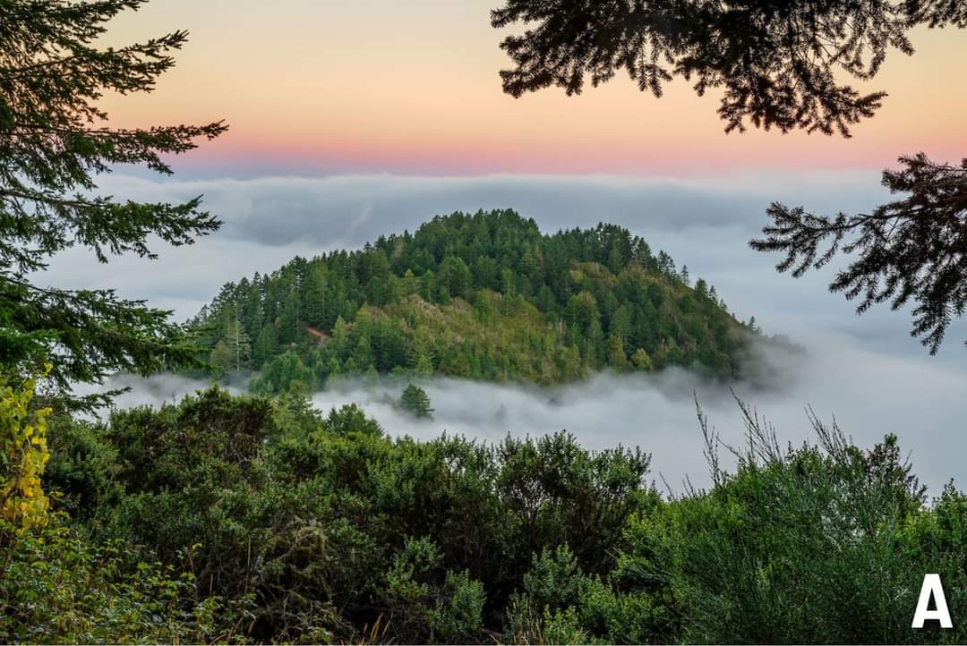 Midpen Open Space tweet media