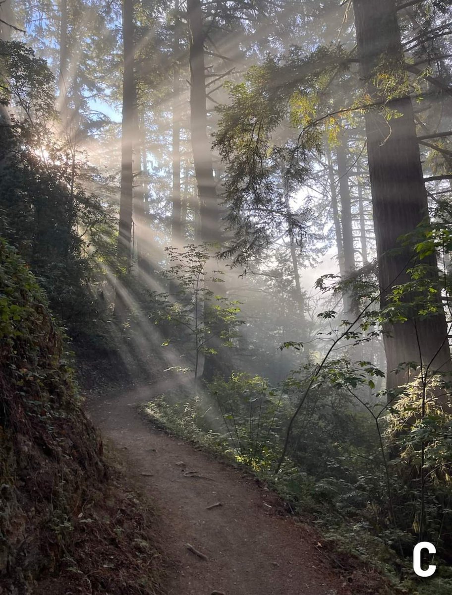 Midpen Open Space tweet media