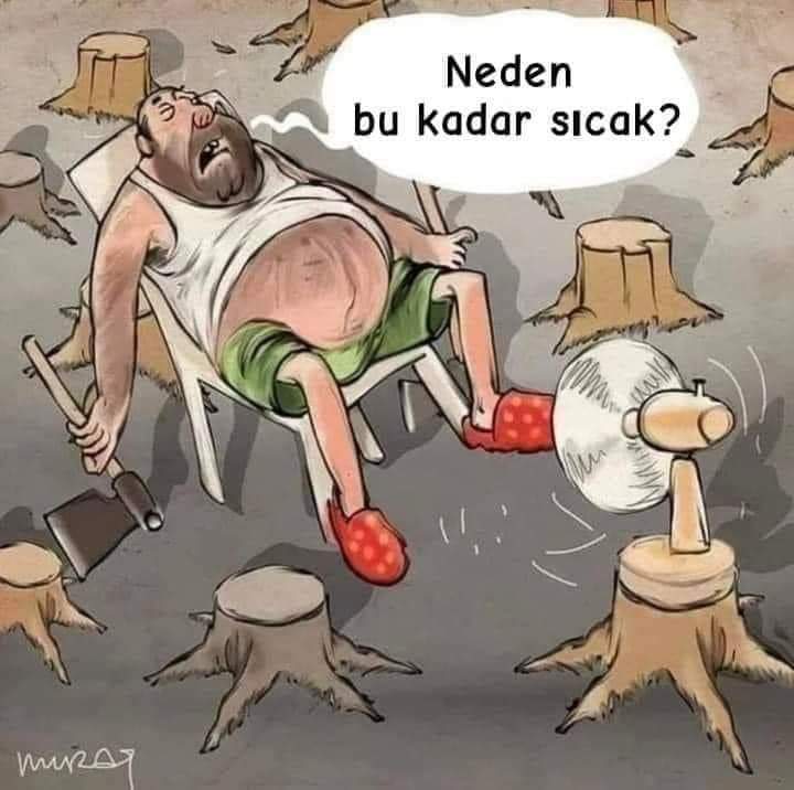 mrlozkan's tweet photo. Ne olacaktı yani .....😒
İyi geceler geceniz hayrolsun dostlar!
#iyigeceler
#gecegorusu 
#geceye https://t.co/vx8s3dS7eG