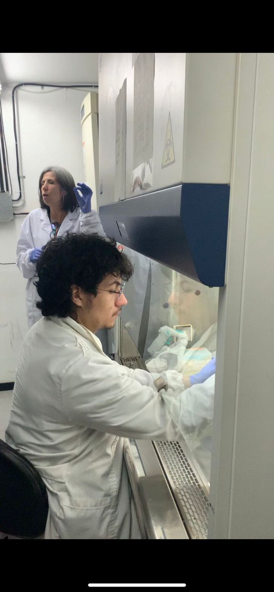 InTryps's tweet image. Semana del X Curso Internacional de Biología molecular de Trypanosomátidos con los integrantes del @InTryps cargo de TPs de Inmunología y Biotecnología de la Enfermedad de Chagas @UNUBIOLAC