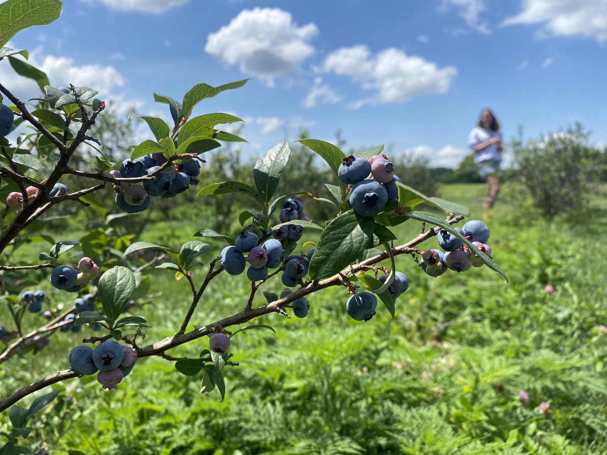 Out enjoying life. Hope you are too