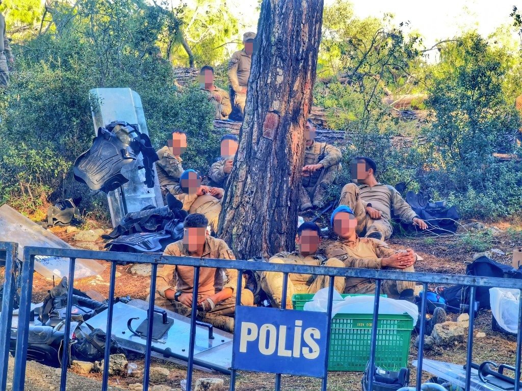 vaybebune's tweet photo. altında soluklandıkları ağaçlar rahat kesilsin diye barikat kurmuşlar, polislik böyle boktan bişey işte https://t.co/3LXWDIS5Sa