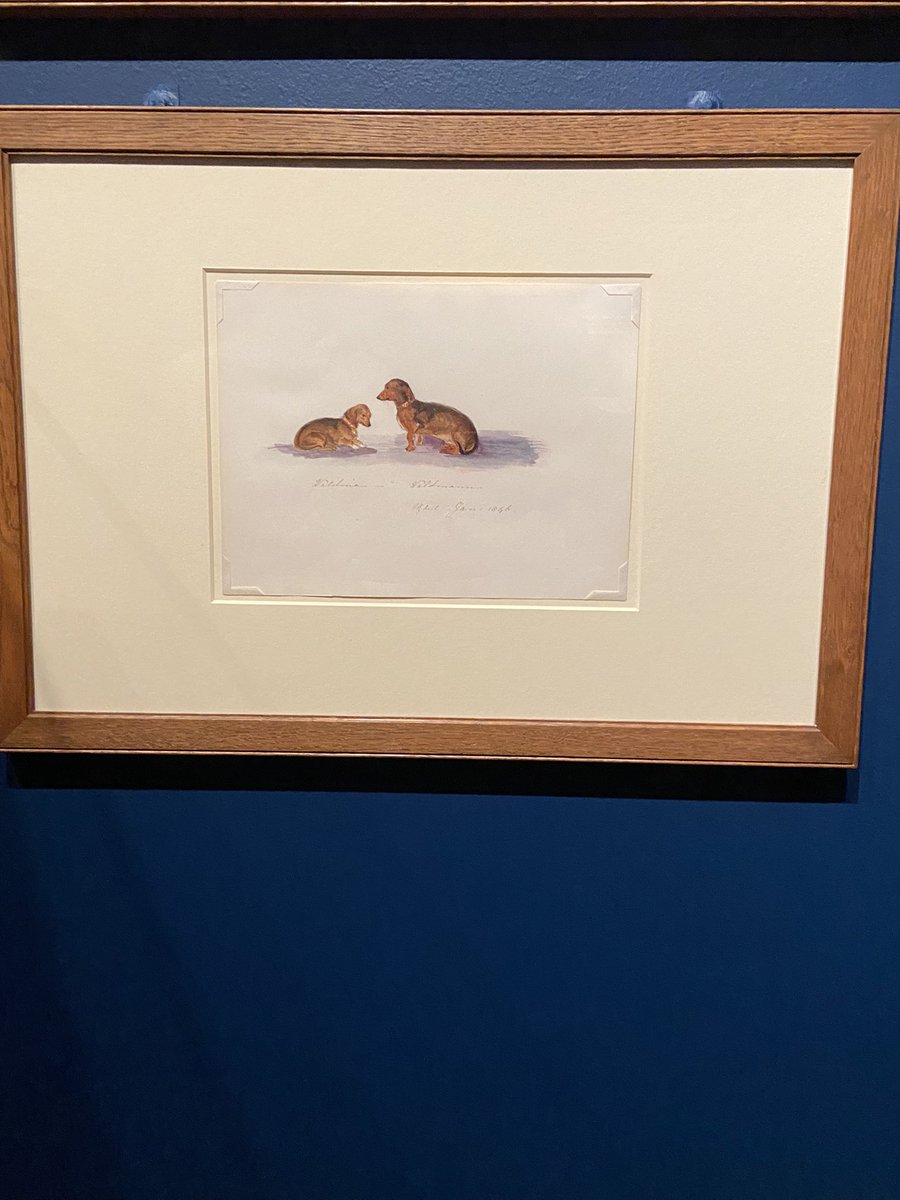 Anne Amlot tweet media