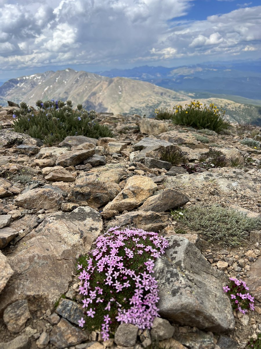 mike_mccarthy17's tweet photo. Hiking the tallest peak in Colorado.
#MtElbert #Colorado #Hiking #OffDay https://t.co/EyQXkNGzJ3