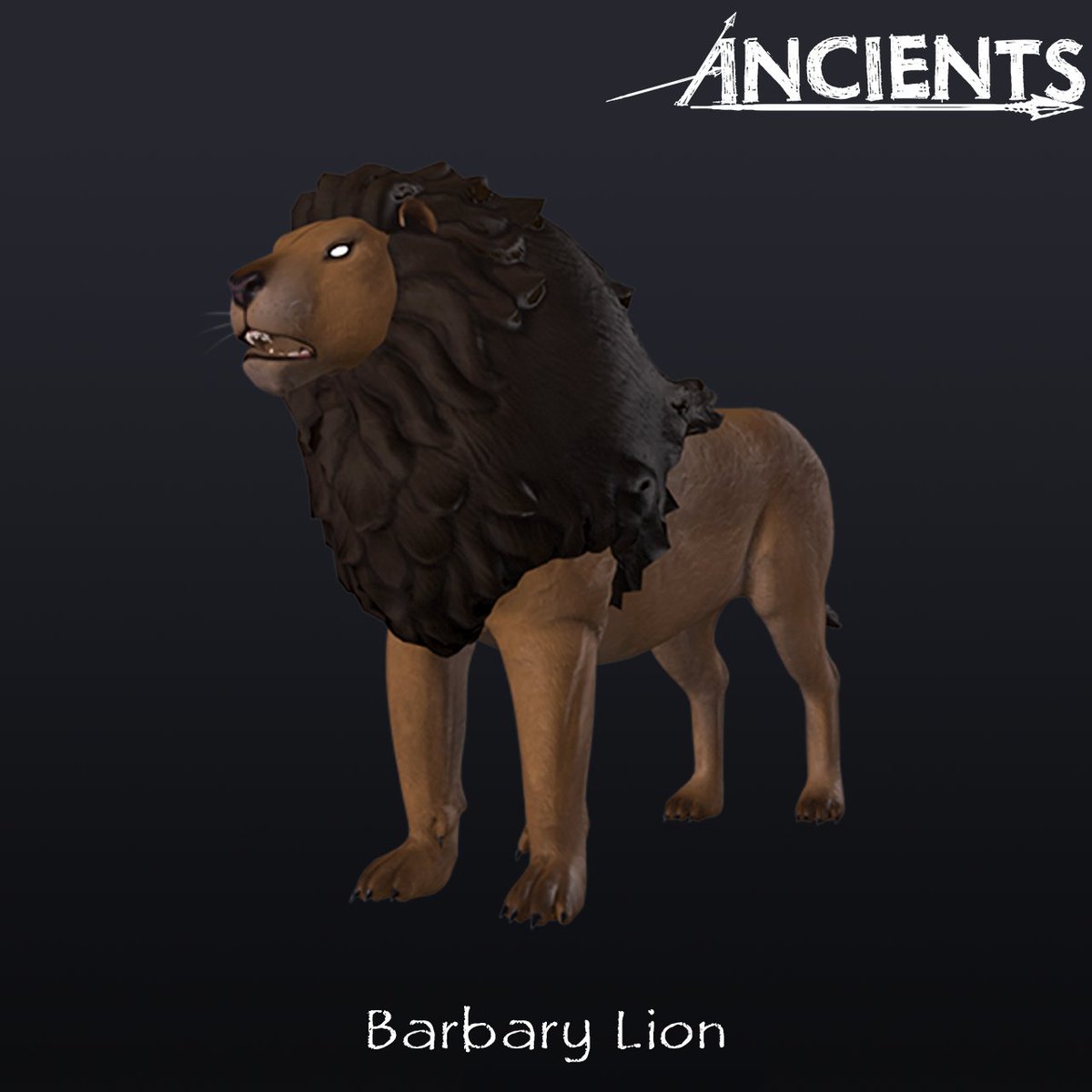 The Barbary Lion (Panthera leo leo) lived in the mountains and deserts of North Africa from Morocco to Egypt. Fossils date back to 100,000 years ago, but sightings were recorded up until the 1960s. Bounties were placed on hunting the lions until they went extinct.
