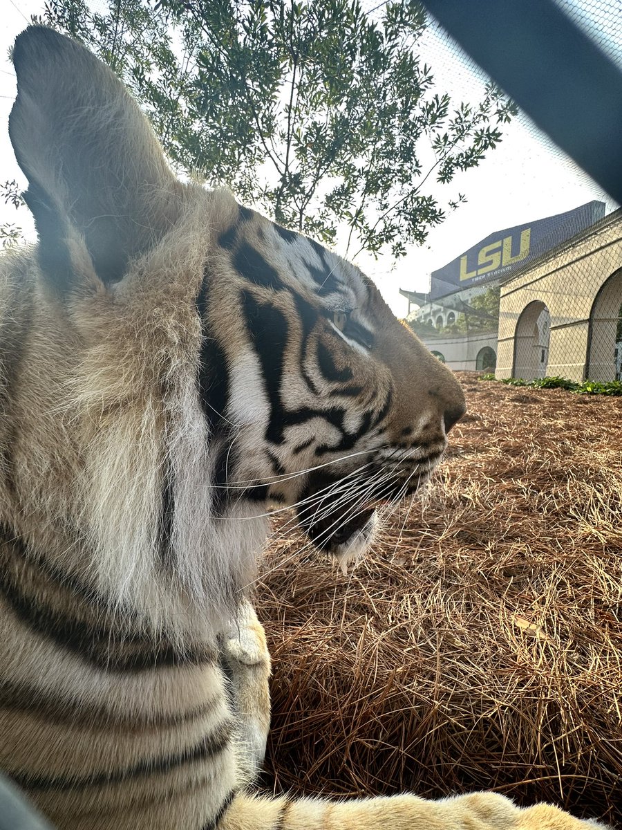 Ginger Guttner tweet media