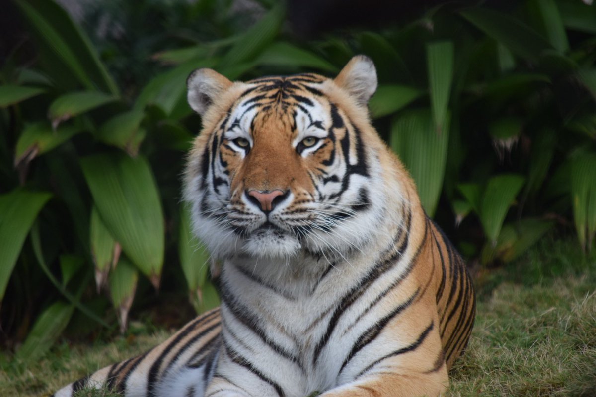 Ginger Guttner tweet media